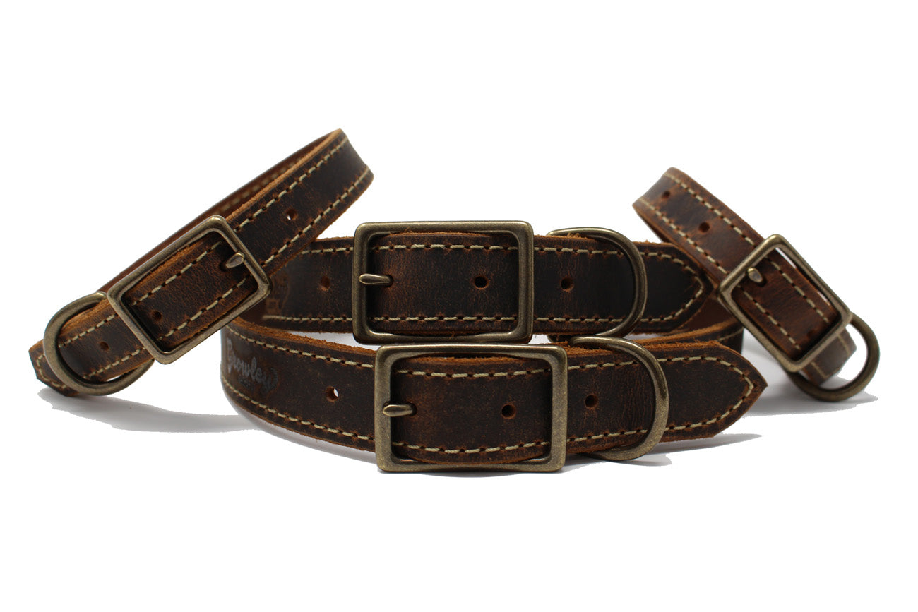 Griff Leather Dog Collar